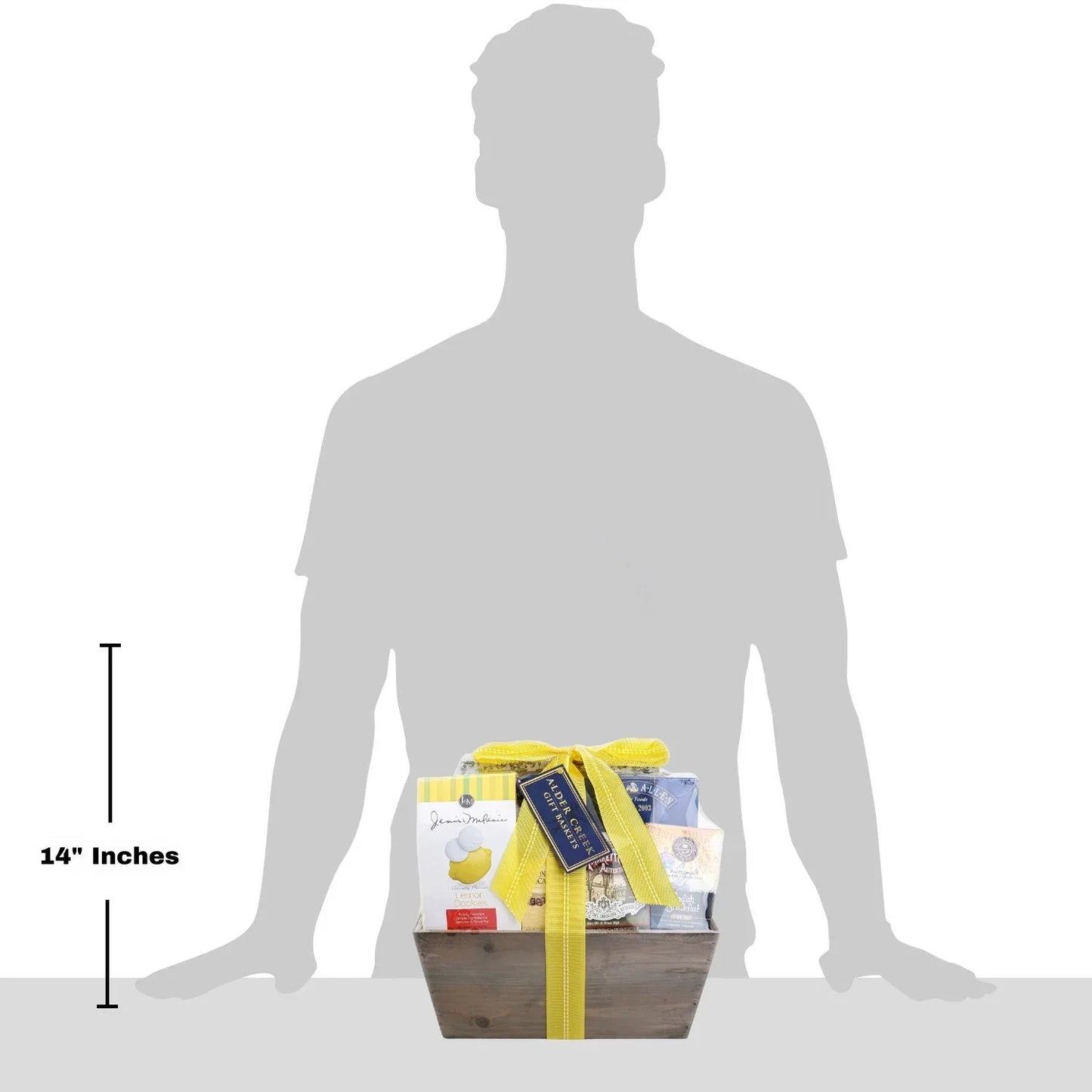 0084340107937_D - Dream Dragons