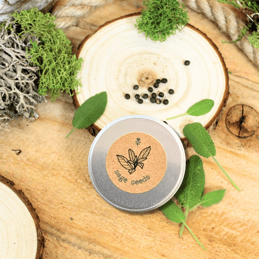 Sage seed tin on a cut log with sage leaves and black seed dots