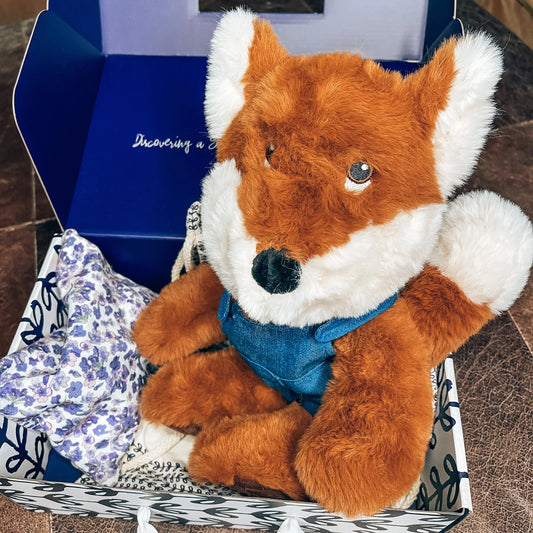 Xander Fox- Copper, Gift Set with Clothing and More!