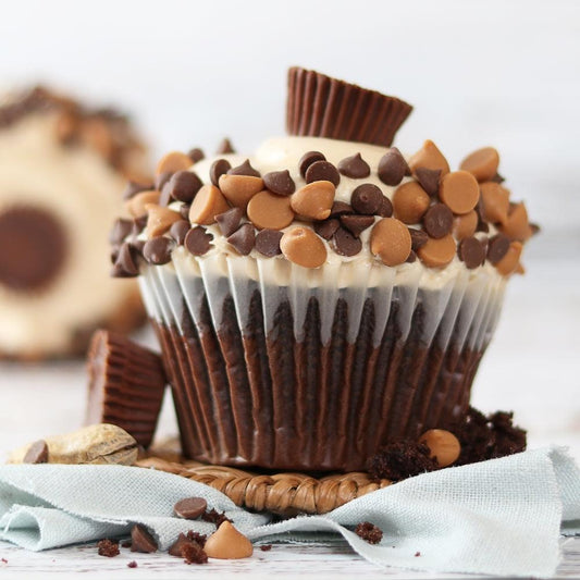 Chocolate cupcakes topped with chocolate chips on a white plate, close-up