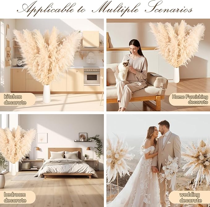 Natural beige dried pampas grass stems in white vases for home decor