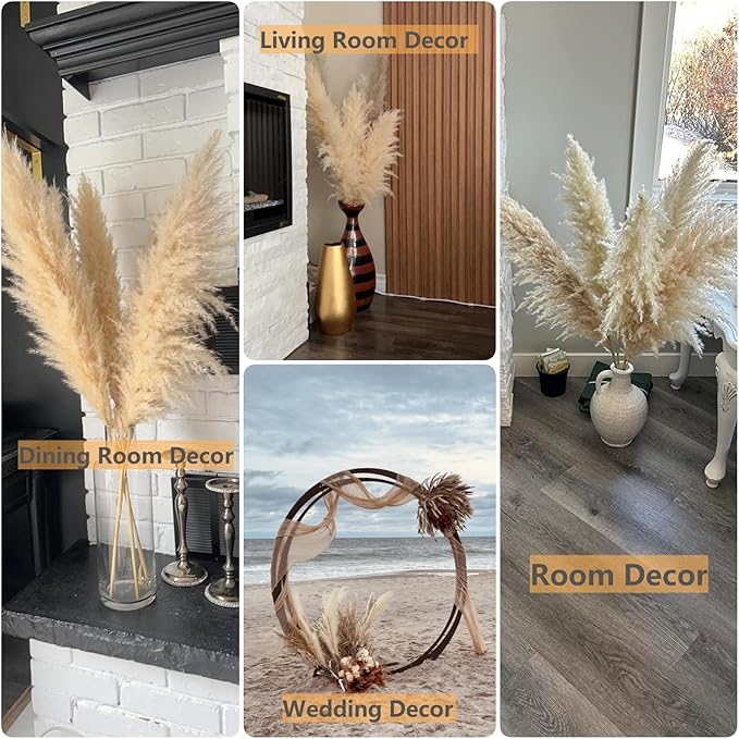 Tall tan dried pampas grass stems with fluffy plumes in room vases.