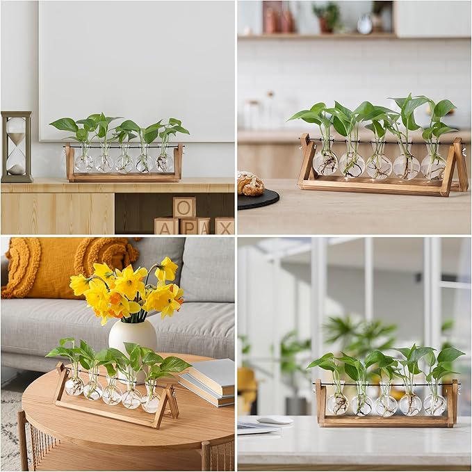 Four-angle view of wooden plant propagation stand with five clear bulb vases and green plants