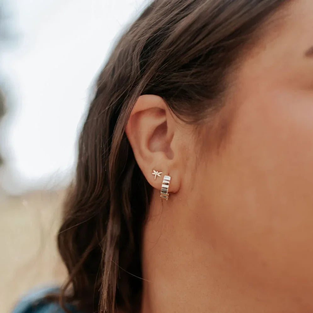 DSC_1936 - Dream Dragons