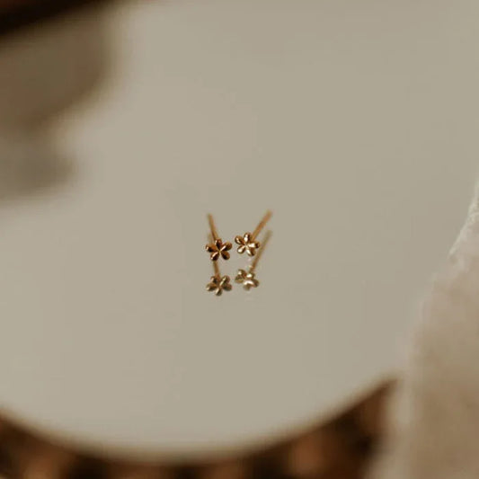 DSC_4571 - Dream Dragons