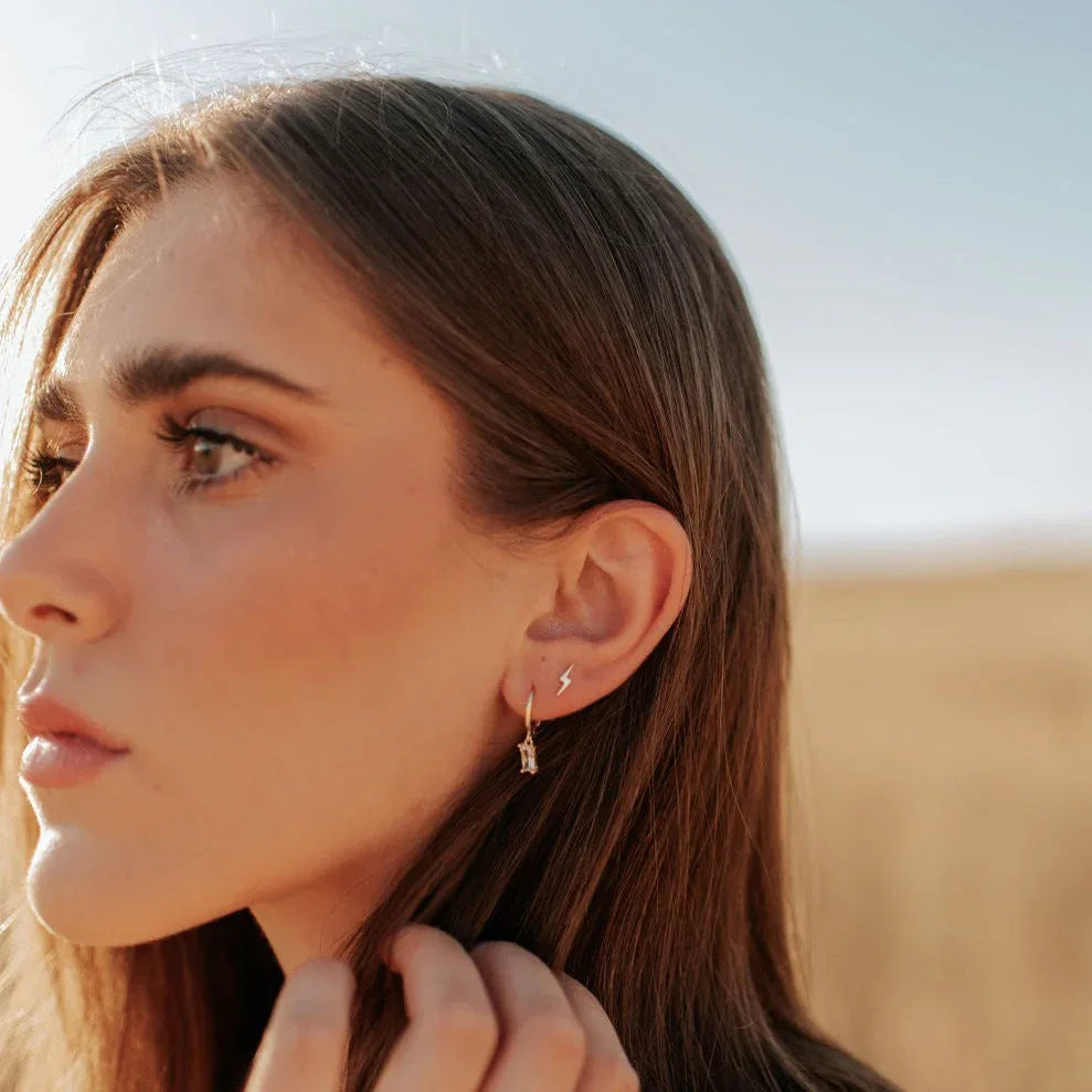 DSC_7661 - Dream Dragons