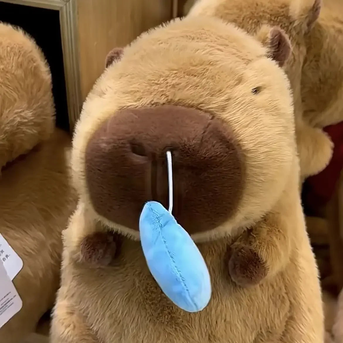 Close-up brown capybara plush head with blue stitched nose