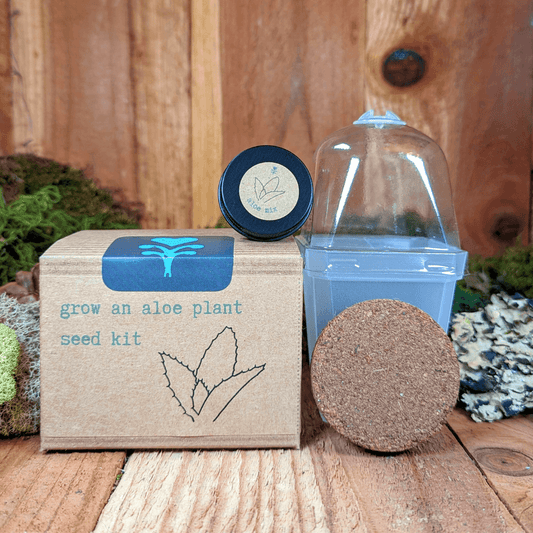 Aloe seed kit box with blue top label, seed disk, small jar, and clear dome