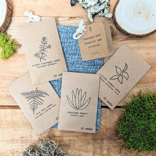Asparagus fern seed collection with several seed packets on a blue drawstring pouch