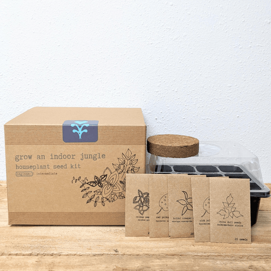 Grow an indoor jungle houseplant seed kit with seed packets and mini greenhouse