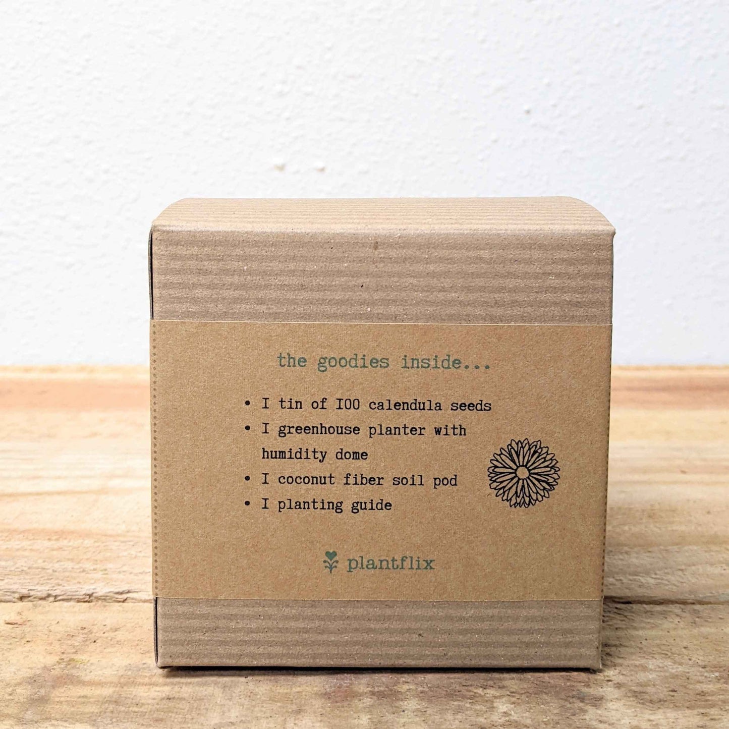 Calendula Beginner Grow Kit