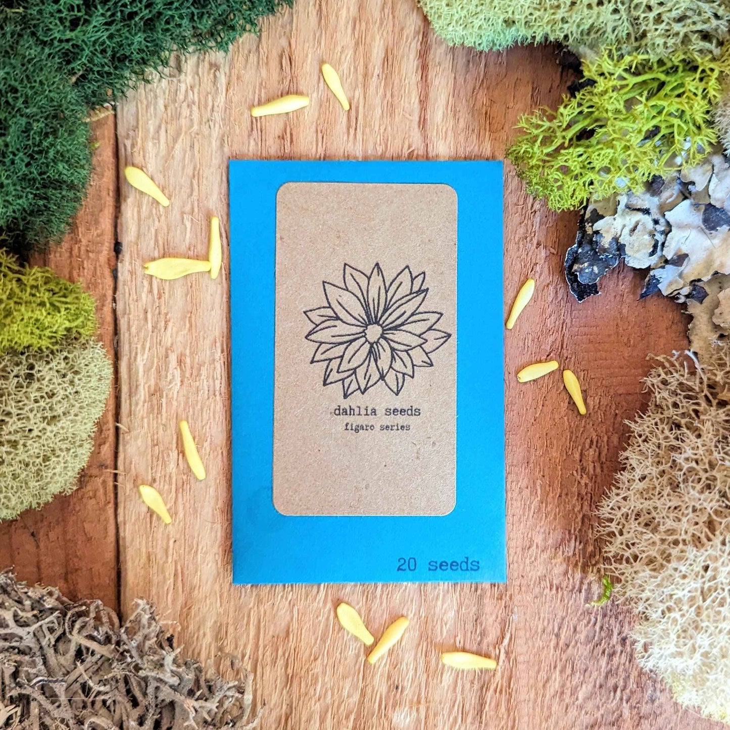 Plantflix Dahlia seed packet, 20 seeds; flower logo and loose yellow seeds