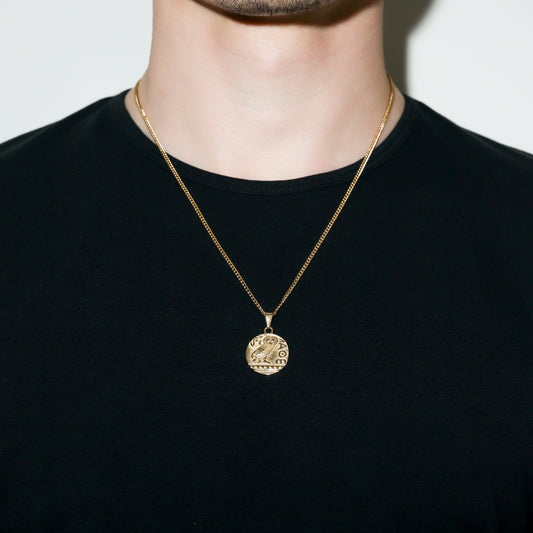 Greek owl pendant necklace, round gold owl medallion on gold curb chain.