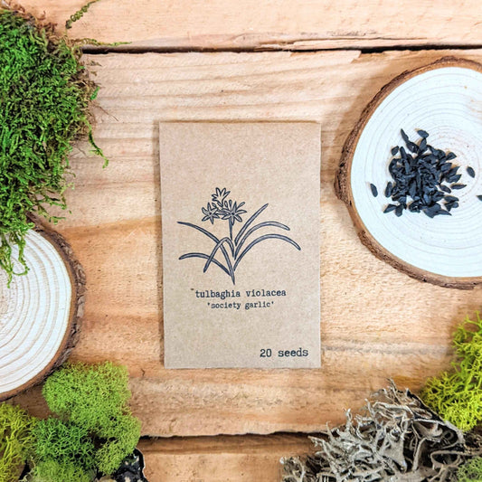 Society garlic seed packet, 20 seeds