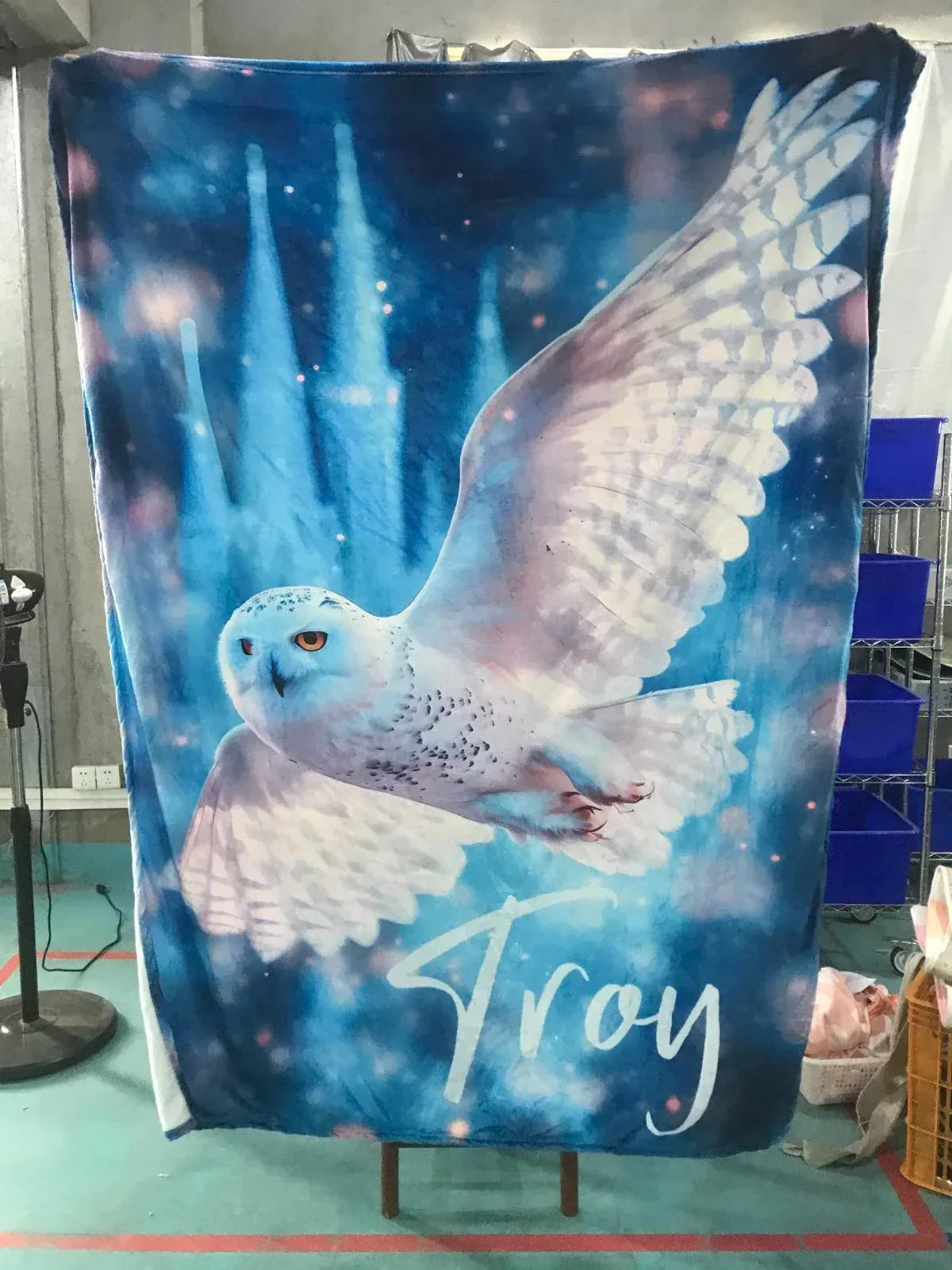 Personalized Wizarding Owl Blanket: Harry Potter Theme, Custom Flannel Fleece Name Throw - Dream Dragons