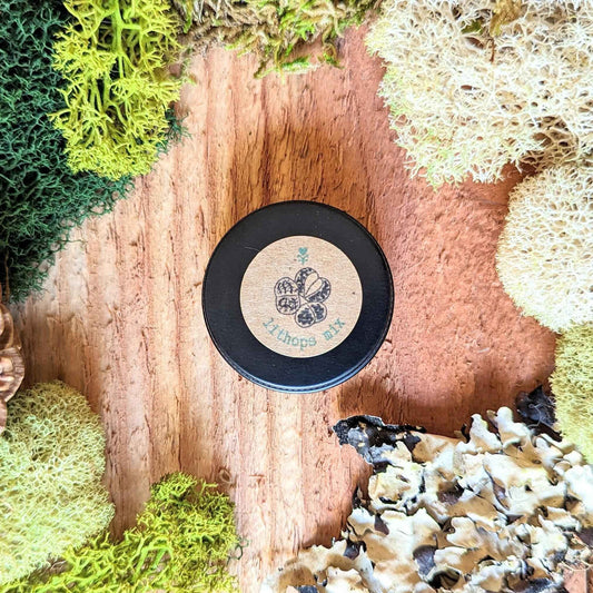 Lithops Mix Samen: schwarze Saatbox mit rundem Etikett