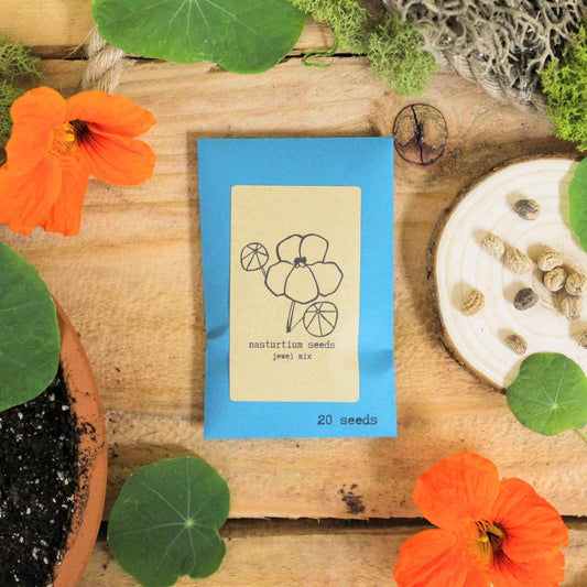 Nasturtium jewel mix seed packet with 20 seeds, plus scattered seeds in a dish