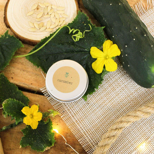 Cucumber seed tin beside cucumber leaves, yellow flowers, and sliced cucumber pieces