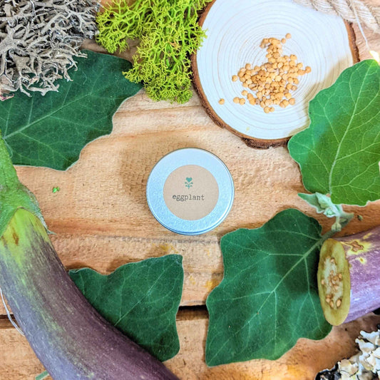 Eggplant seed tin with tan seeds on a wooden slice, surrounded by green leaves
