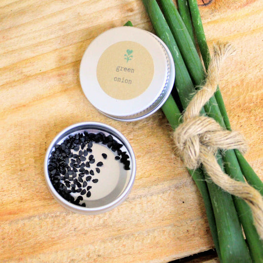 Green onion seeds tin with loose black seeds and green onions