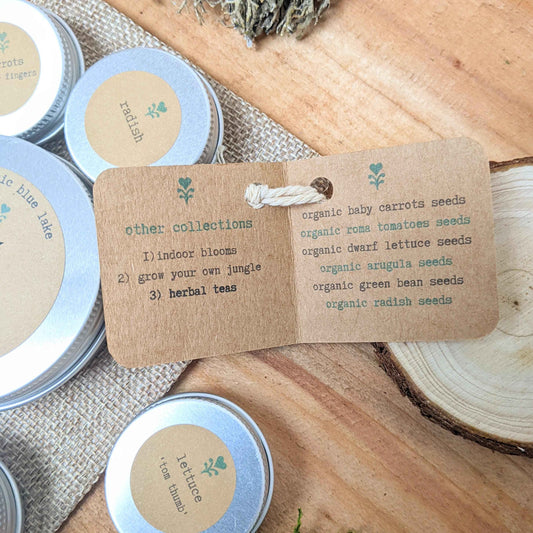 Seed collection tin and kraft card listing indoor collections and seed types