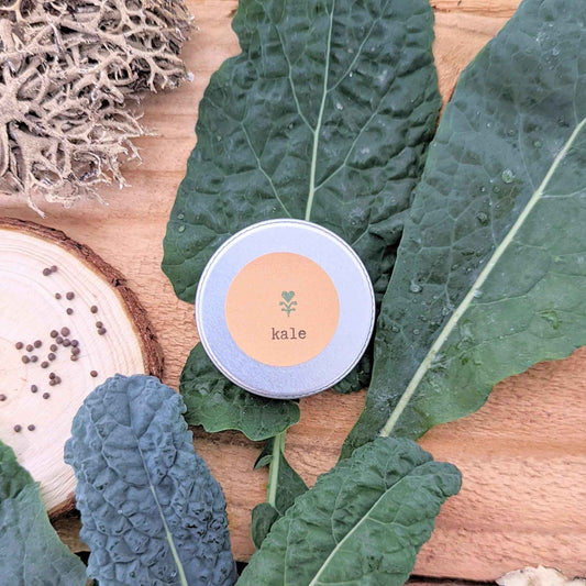 Kale seeds tin on tan wood with green kale leaves and scattered seeds