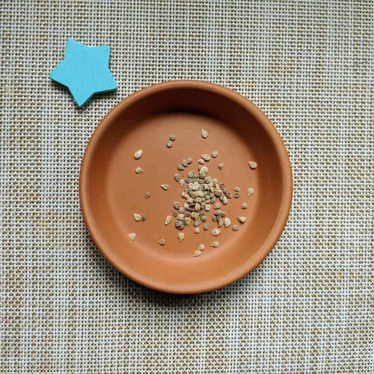 Terracotta dish of small tomato seeds