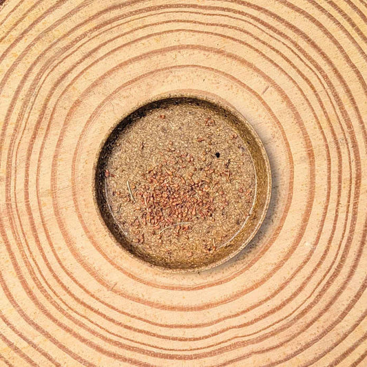 Fig tree seeds scattered in a circular patch on a wood surface