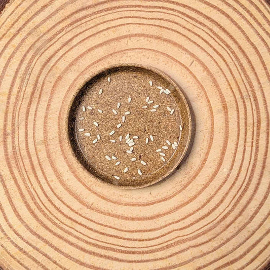 Small light seeds scattered in dark soil inside a circular tray