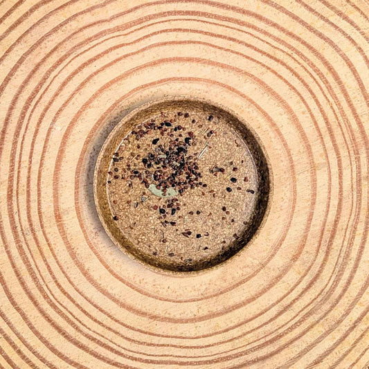 Eucalyptus Pulverulenta 'Baby Blue' Seeds