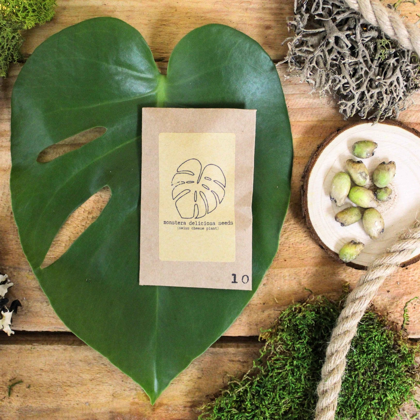 Monstera deliciosa seed packet, 10 seeds, kraft paper sleeve with leaf line art