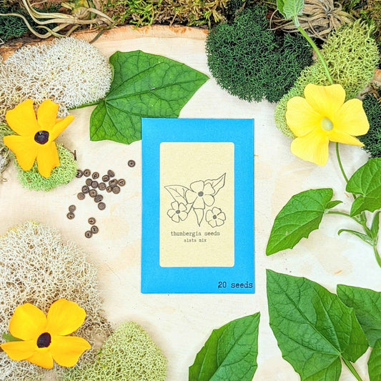 Thunbergia Seeds seed packet with "alata mix" and 20 seeds text