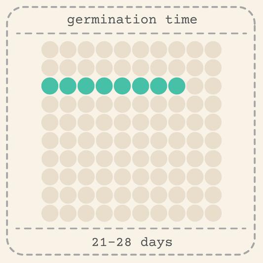 Germination time chart: 21–28 days, teal and beige seedling dots