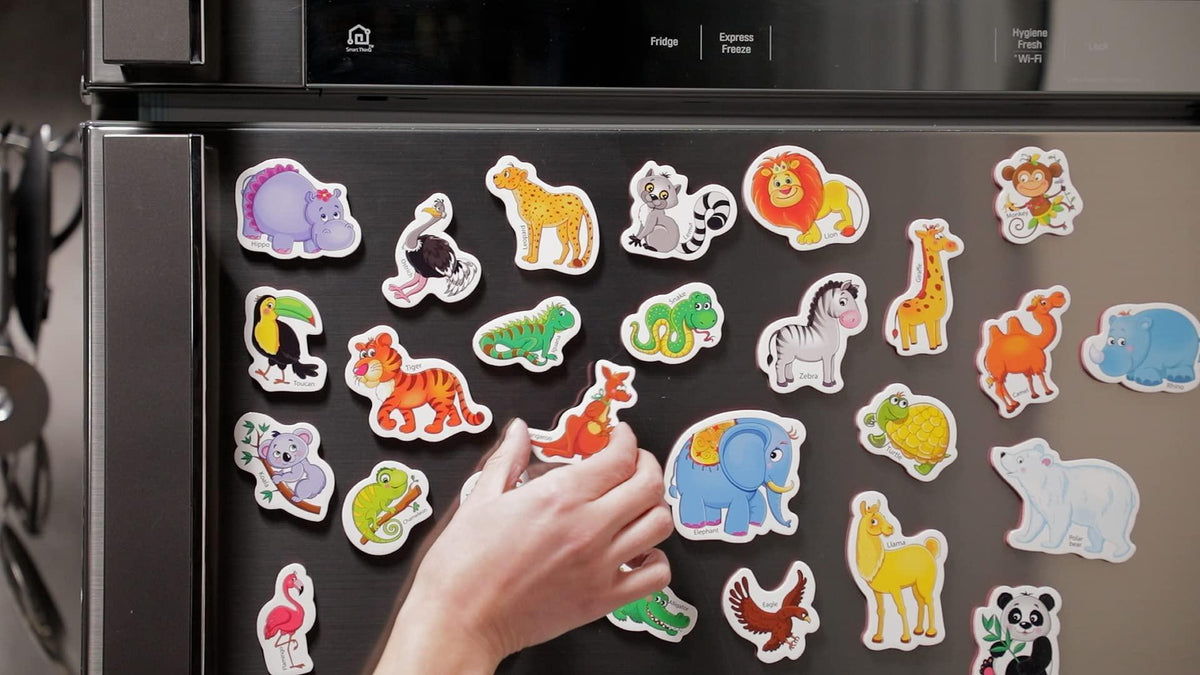 Zoo animal fridge magnets arranged on a metal refrigerator door