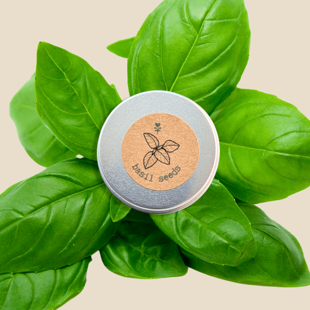 Organic basil seeds tin with basil illustration on the lid