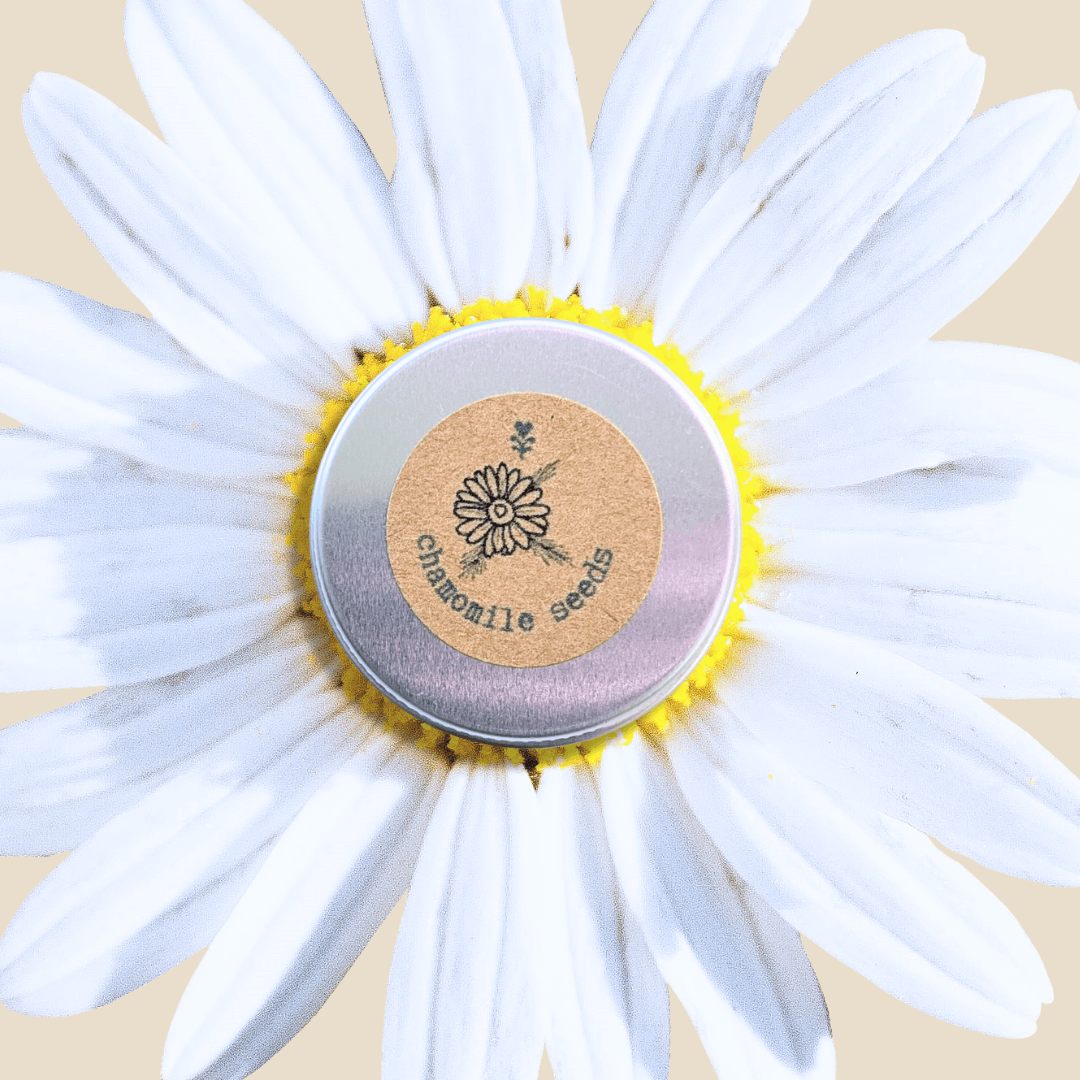 Chamomile Seeds tin with label and daisy flowers