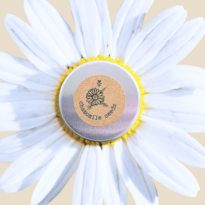 Chamomile Seeds tin with label and daisy flowers