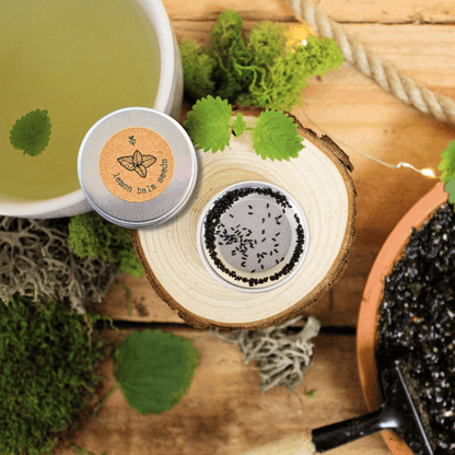 Lemon balm seeds in opened tin with loose dark seeds