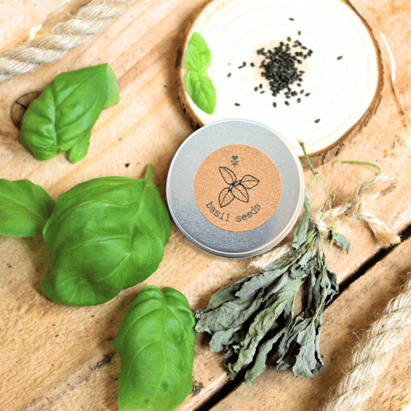 Organic basil seeds tin beside fresh basil leaves on wooden surface