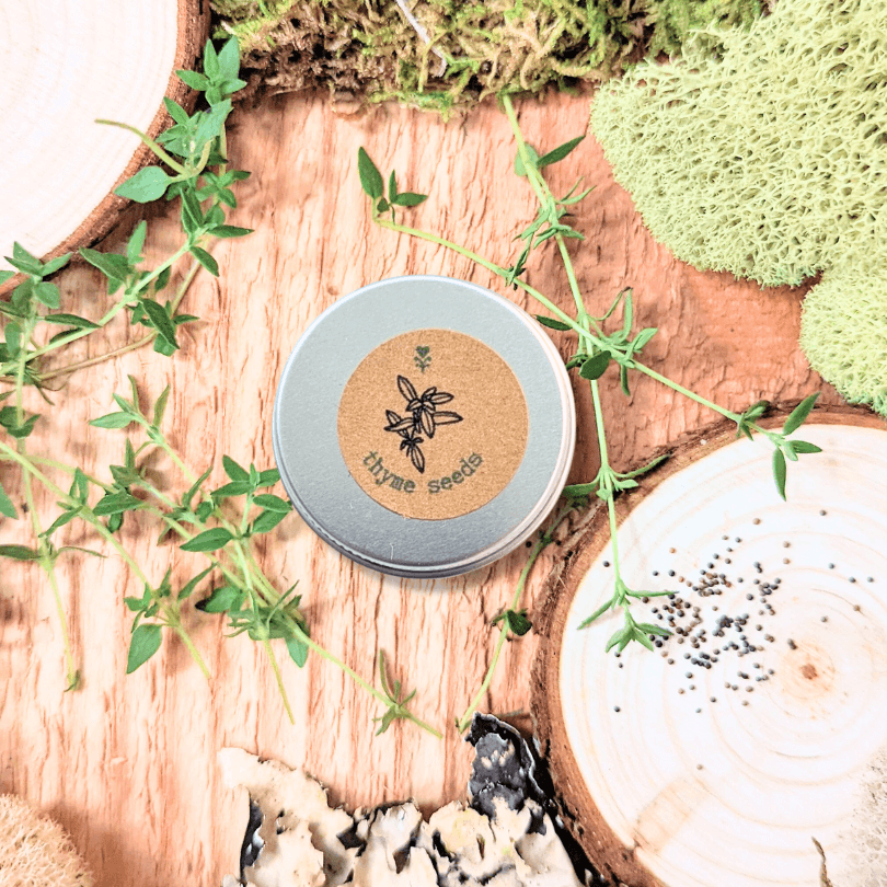 Thyme seed tin beside loose seeds and young thyme stems on wood