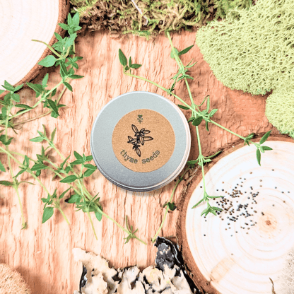 Thyme seed tin beside loose seeds and young thyme stems on wood