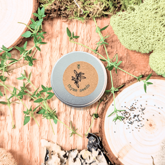 Thyme seed tin beside loose seeds and young thyme stems on wood