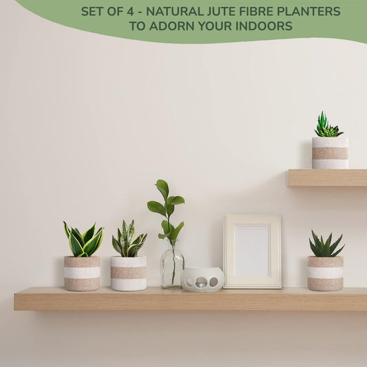 Four tan-and-white striped jute planter baskets displayed on a shelf with plants