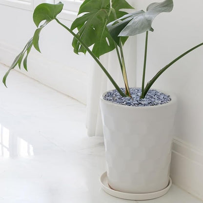 Gray polished stone pebbles in a white planter pot with a leafy indoor plant