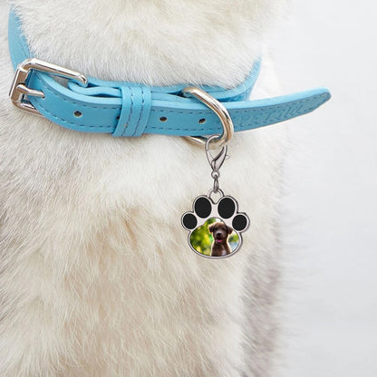 Paw print photo charm with silver lobster clasp on a light blue dog collar