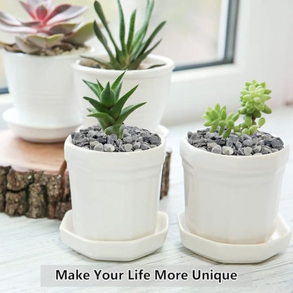 Gray polished pebbles in two white planter pots with small succulents