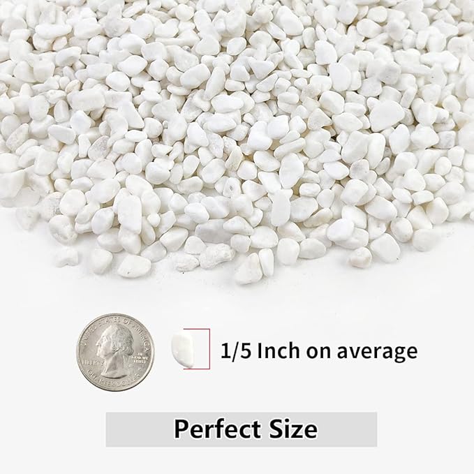 Close-up of white natural gravel pebbles, small smooth stones for terrariums