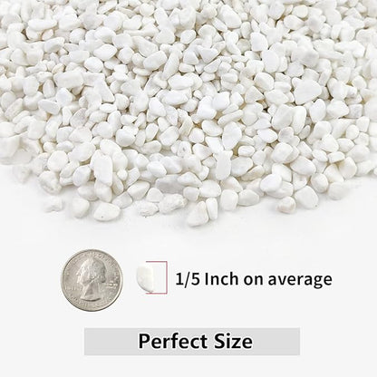 Close-up of white natural gravel pebbles, small smooth stones for terrariums