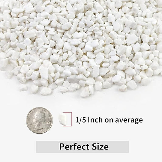 Close-up of white polished gravel pebbles with a small coin for size comparison