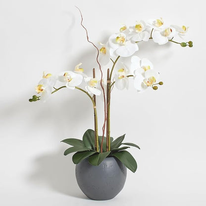 Faux white orchid double-stem in gray pot with green succulent-like foliage